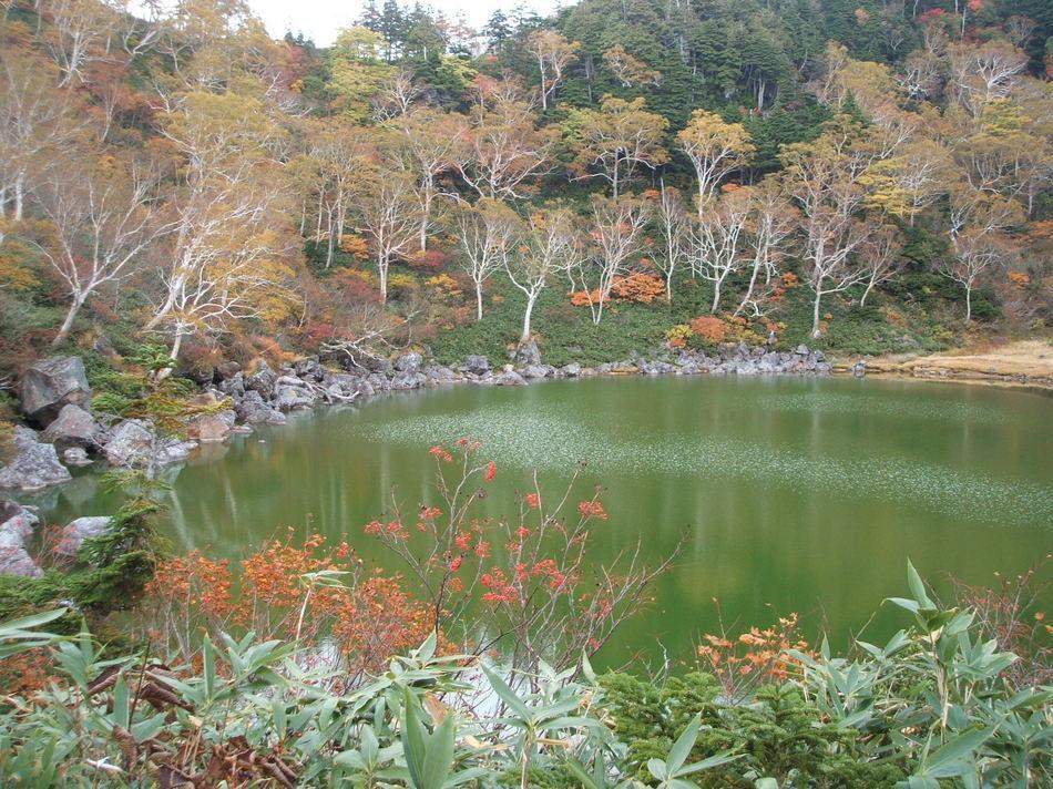 Natural Pension Pumpkin Otari Exterior photo